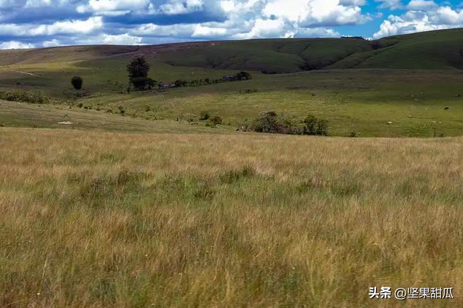 巴西看上中国“星链”。卢拉跟特朗普和马斯克不对付，为了防止美国人卡脖子，巴西政府