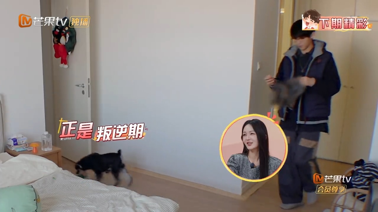 唐九洲出门磨蹭甩锅给狗唐九洲约好去井胧家，在家磨磨蹭蹭写贺卡挑衣服，到点才出门，