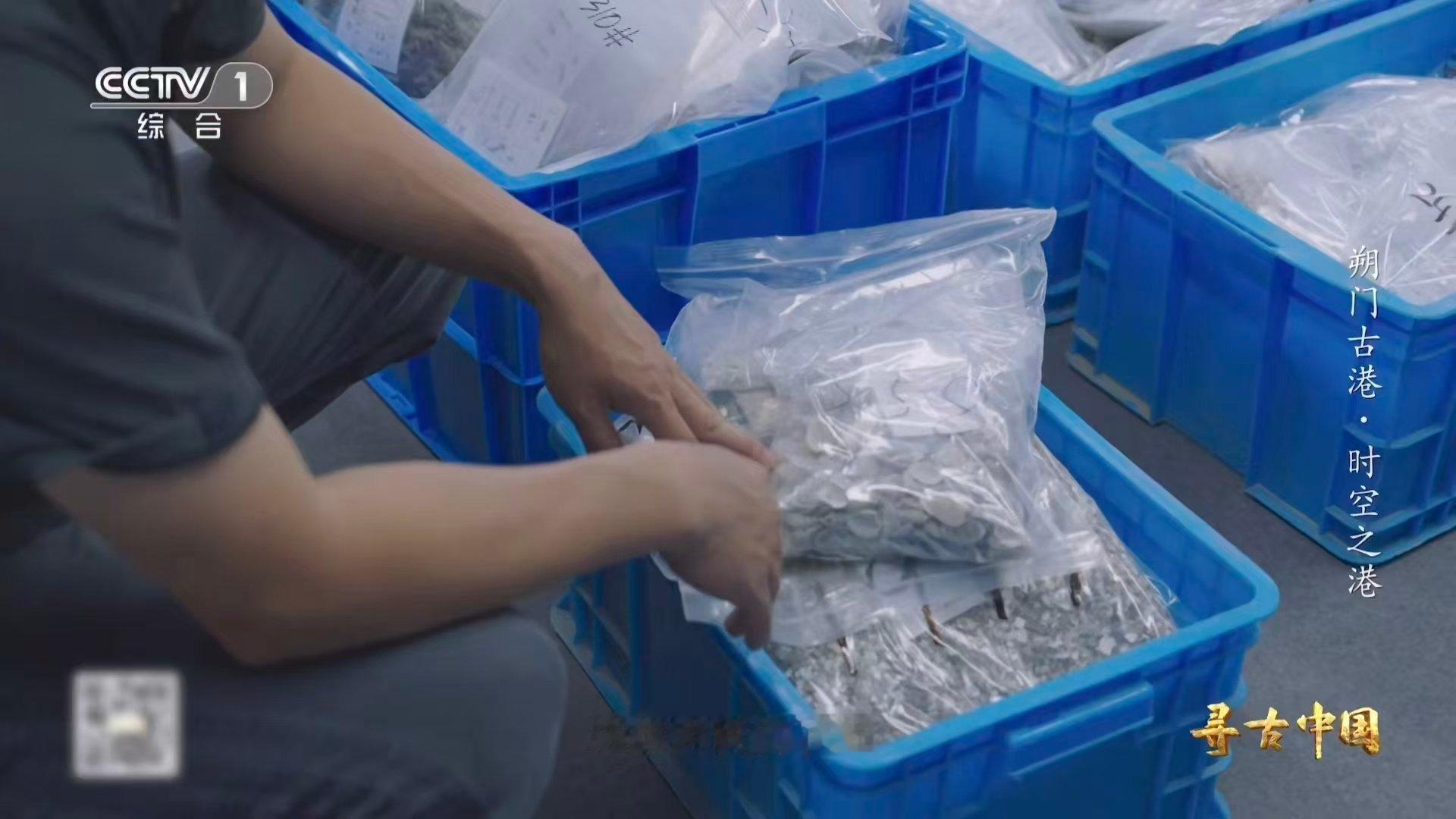 温州一千多年前就流行嗦螺了古人也吃血蛤 考古挖出“古人的外卖单”？花甲、钉螺、牡