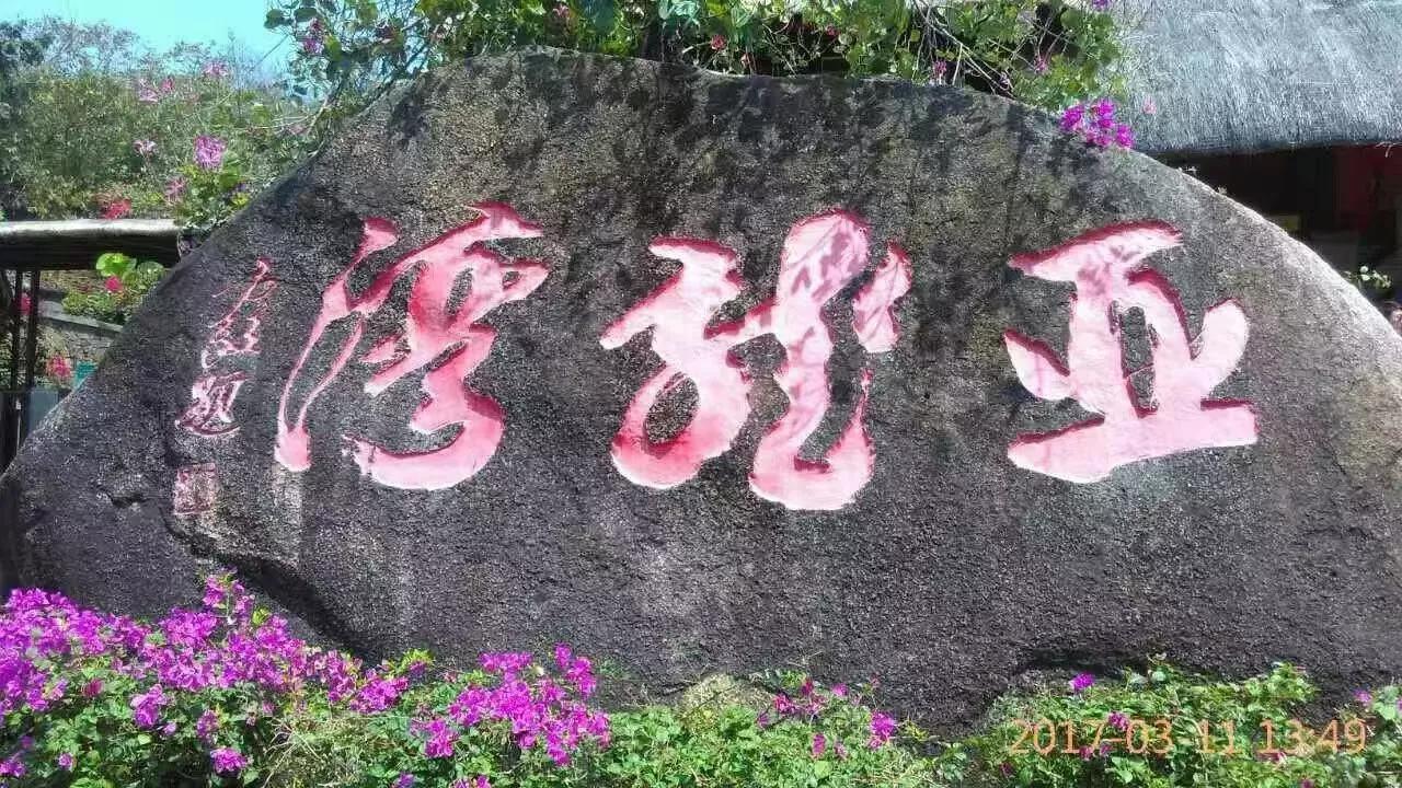 探索湾龙亚的神秘与美丽！🌸🏞️