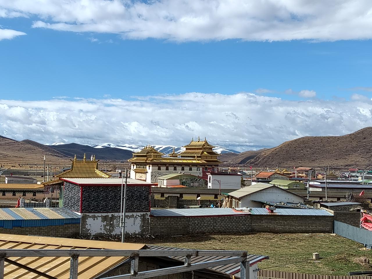 在农村，要50万彩礼确实算多了。不过彩礼肯定还是要的，毕竟结婚意味着组建家庭，要