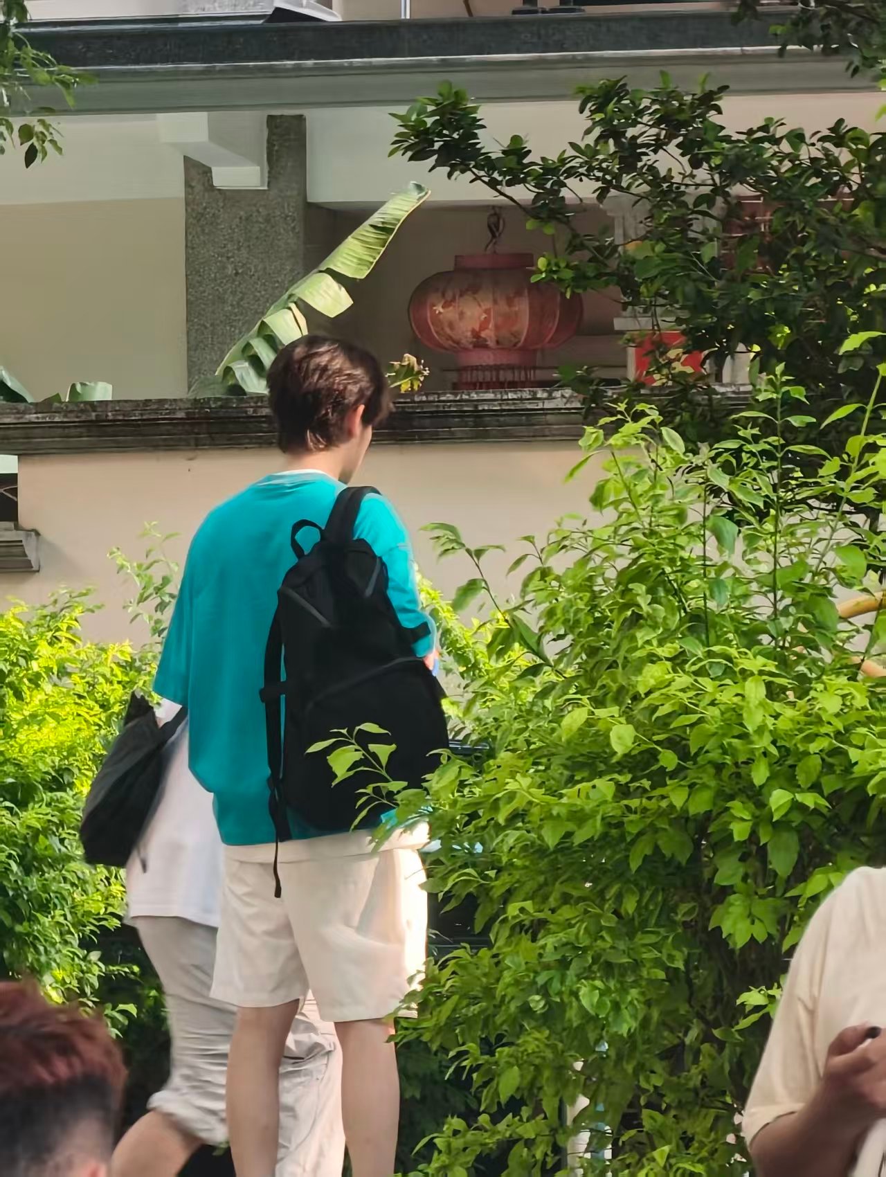 这个亮色好好看胡先煦潮热雨季未解之谜