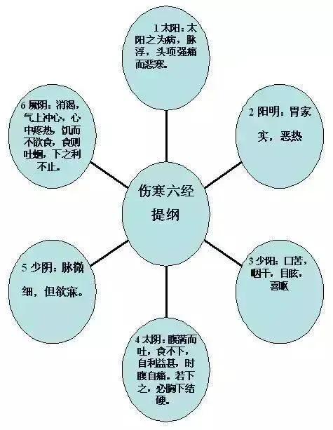 你还在为学习《伤寒论》感到困难吗？别担心，今天我将为你带来《伤寒论》的图解版，让