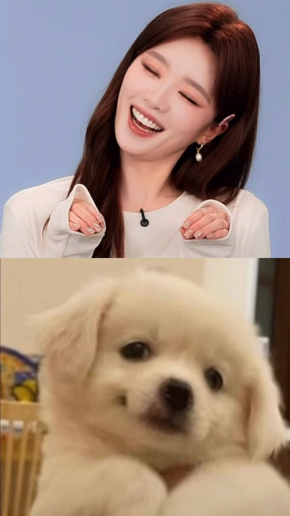 张月狗塑党完胜 自带音效好萌🐶 