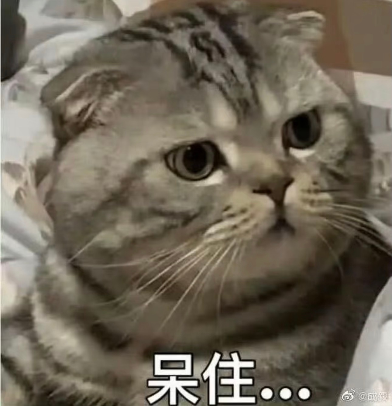 你可以下雨，但是不要在我上下班的时候下雨。 