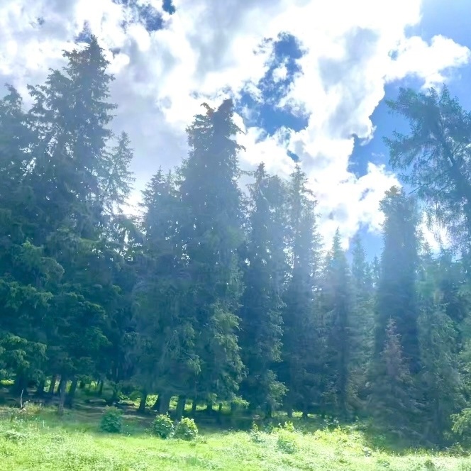 结合几年前世界环境日小凯也是分享了巨多自己拍的风景照，合理猜测这次也是小凯拍的