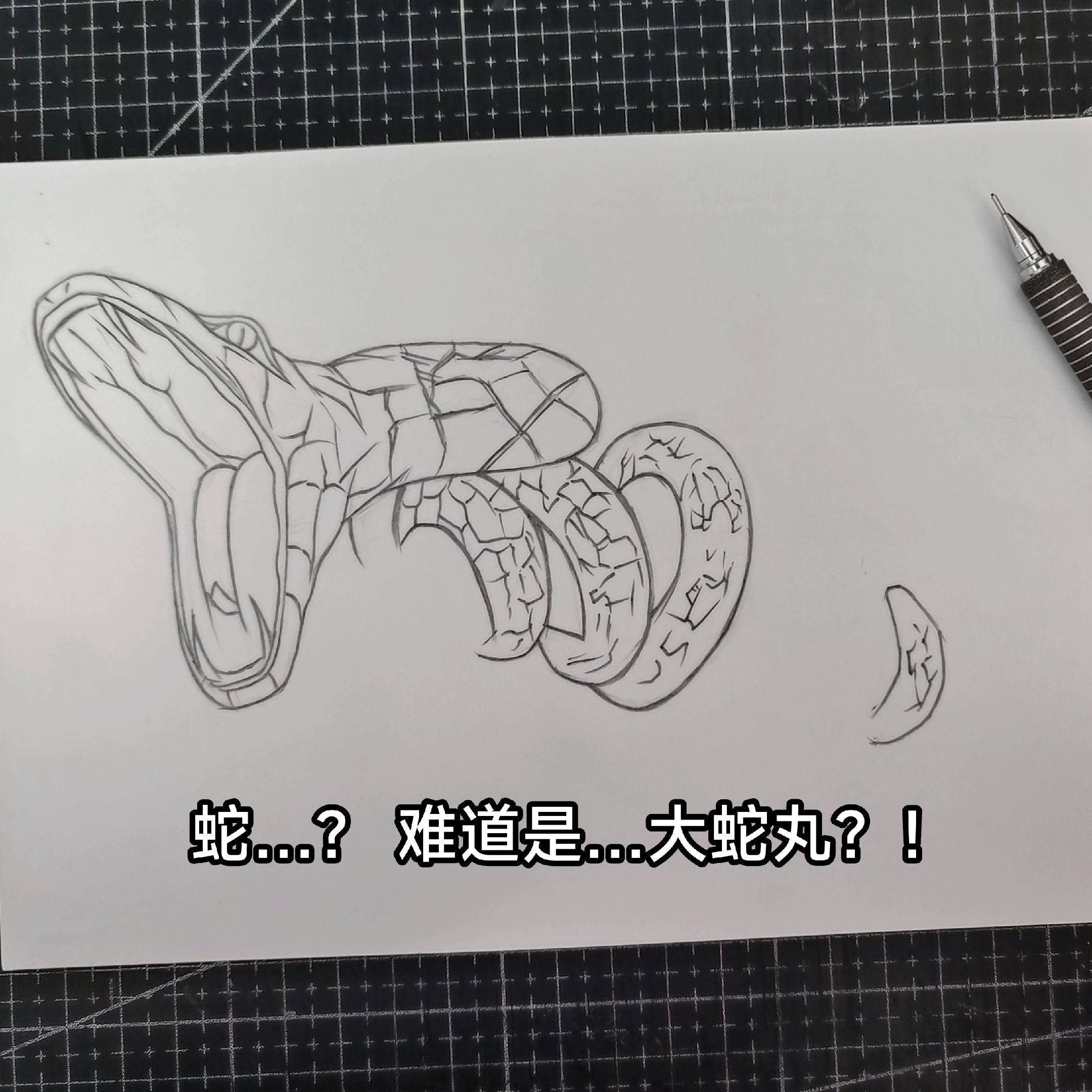 玩蛇这一块/.