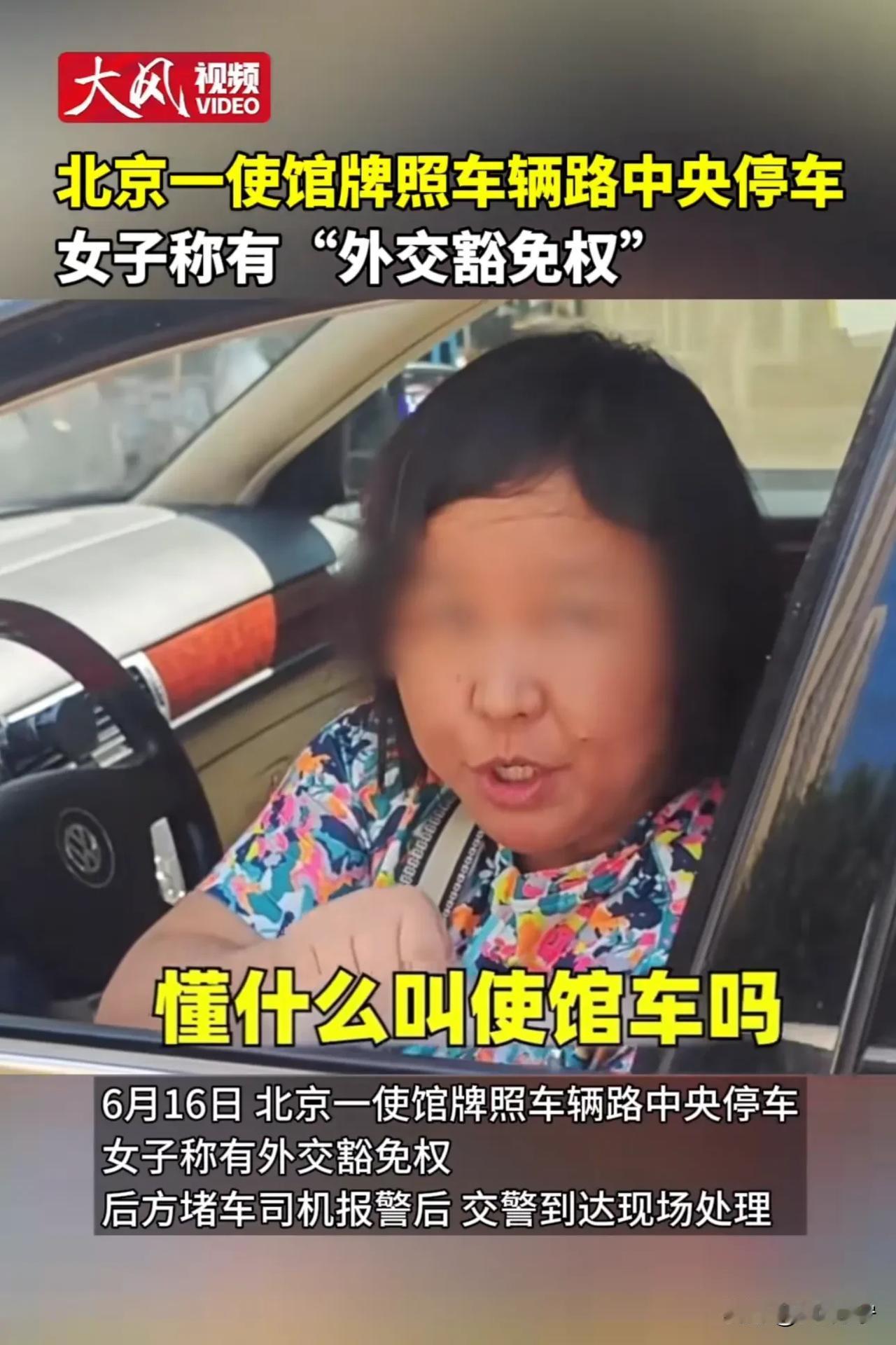 外交豁免权是什么？享受特权？践踏法律？骑在百姓头上拉屎？公车私用？然后还得把车停