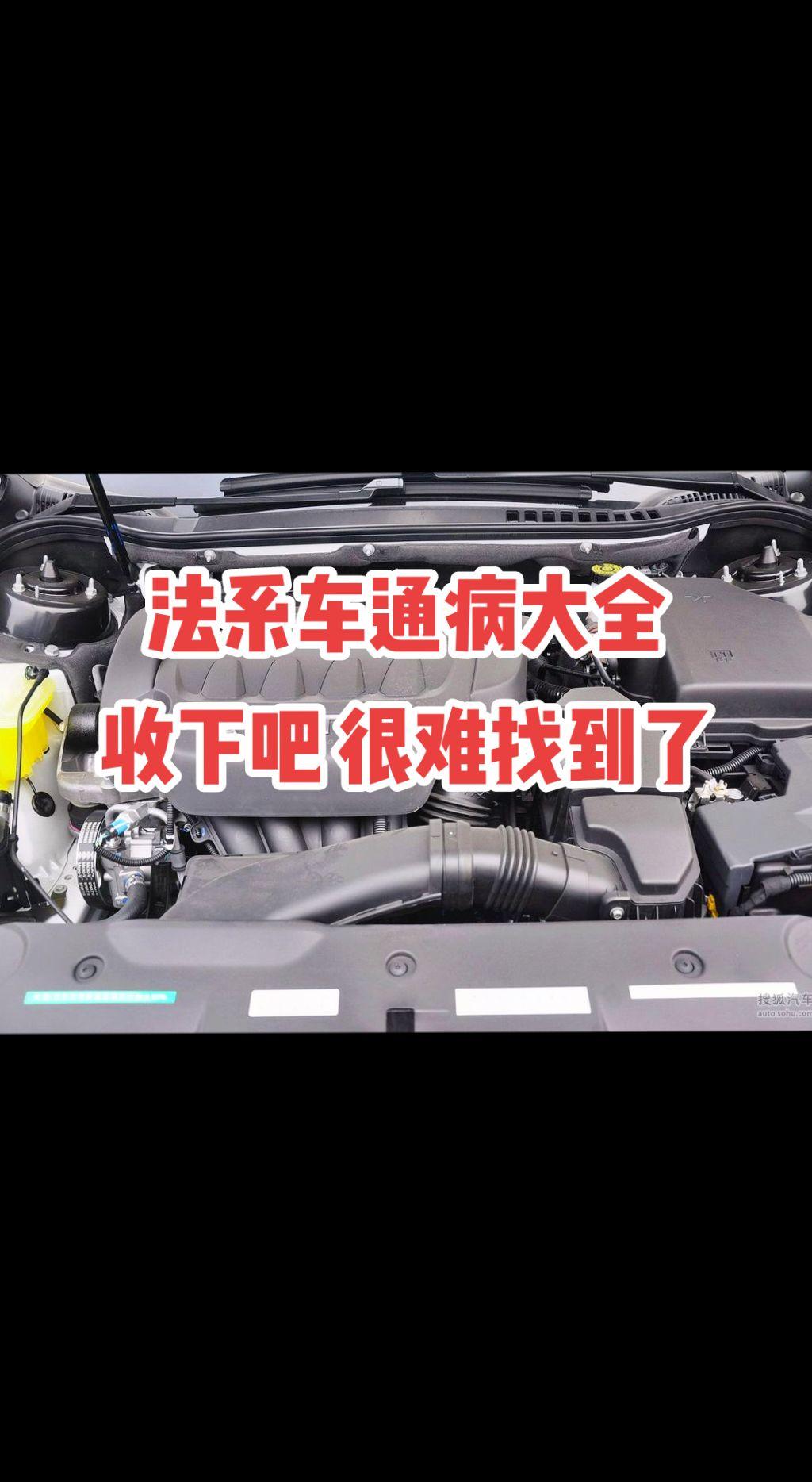 法系车通病大全 收下吧 已经很难找到了。