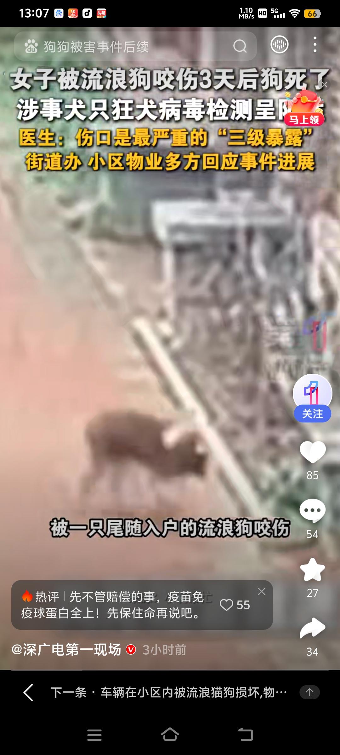 河南女子被尾随进屋的疯狗咬伤，三天后疯狗死亡物业摊上善后的大事。
近日，河南焦作