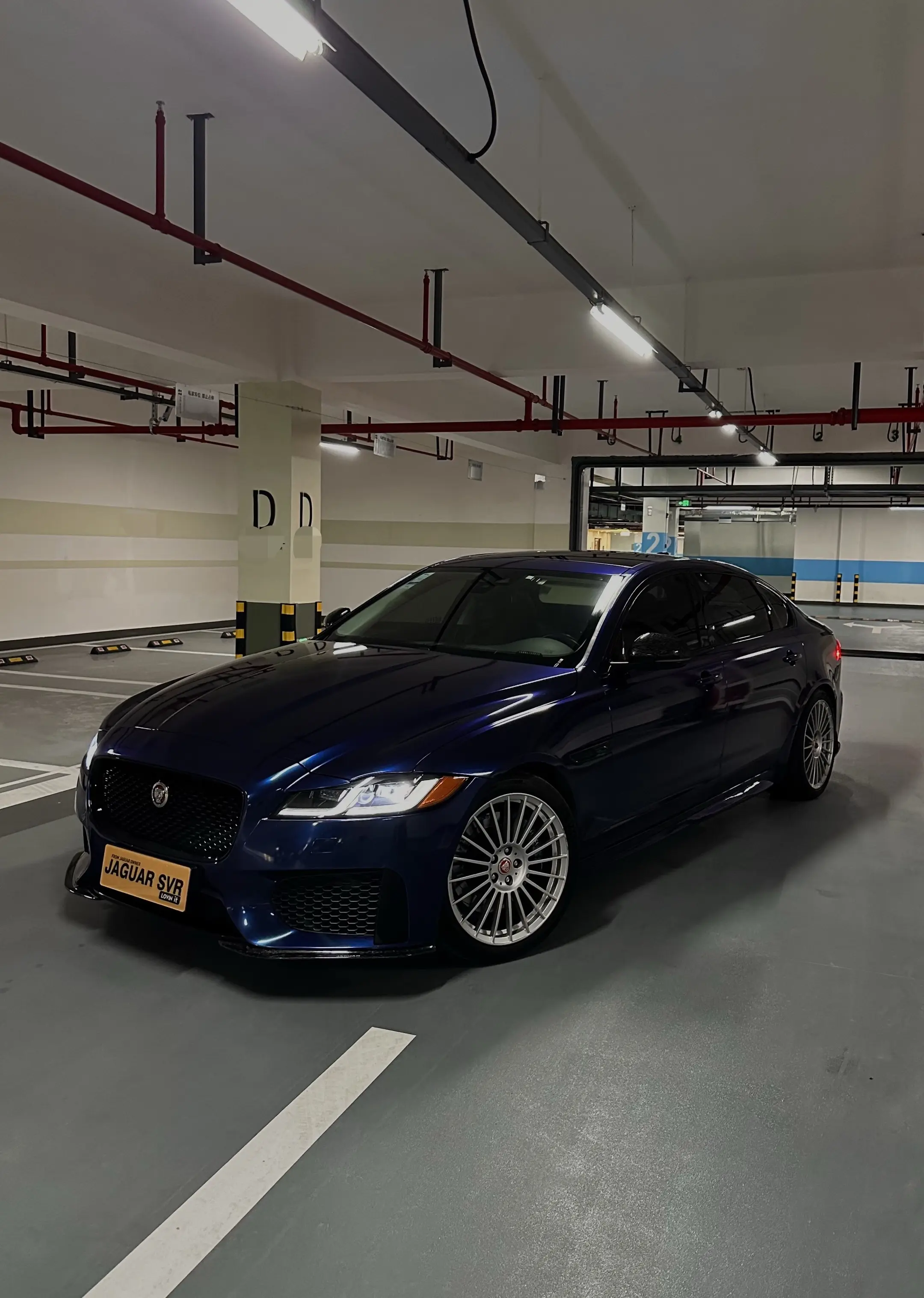 玩车，让热情，热爱有所安放。