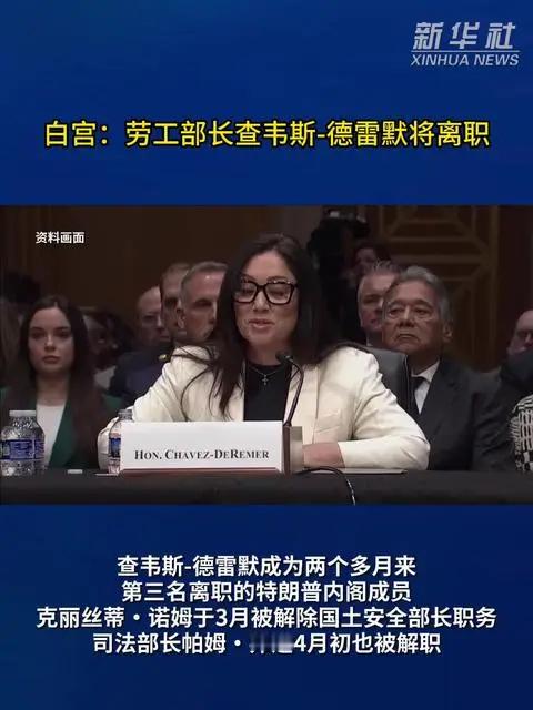 美国劳工部长洛丽·查韦斯-德雷默于周一正式辞职，此前她陷入了一系列涉及公款私用、