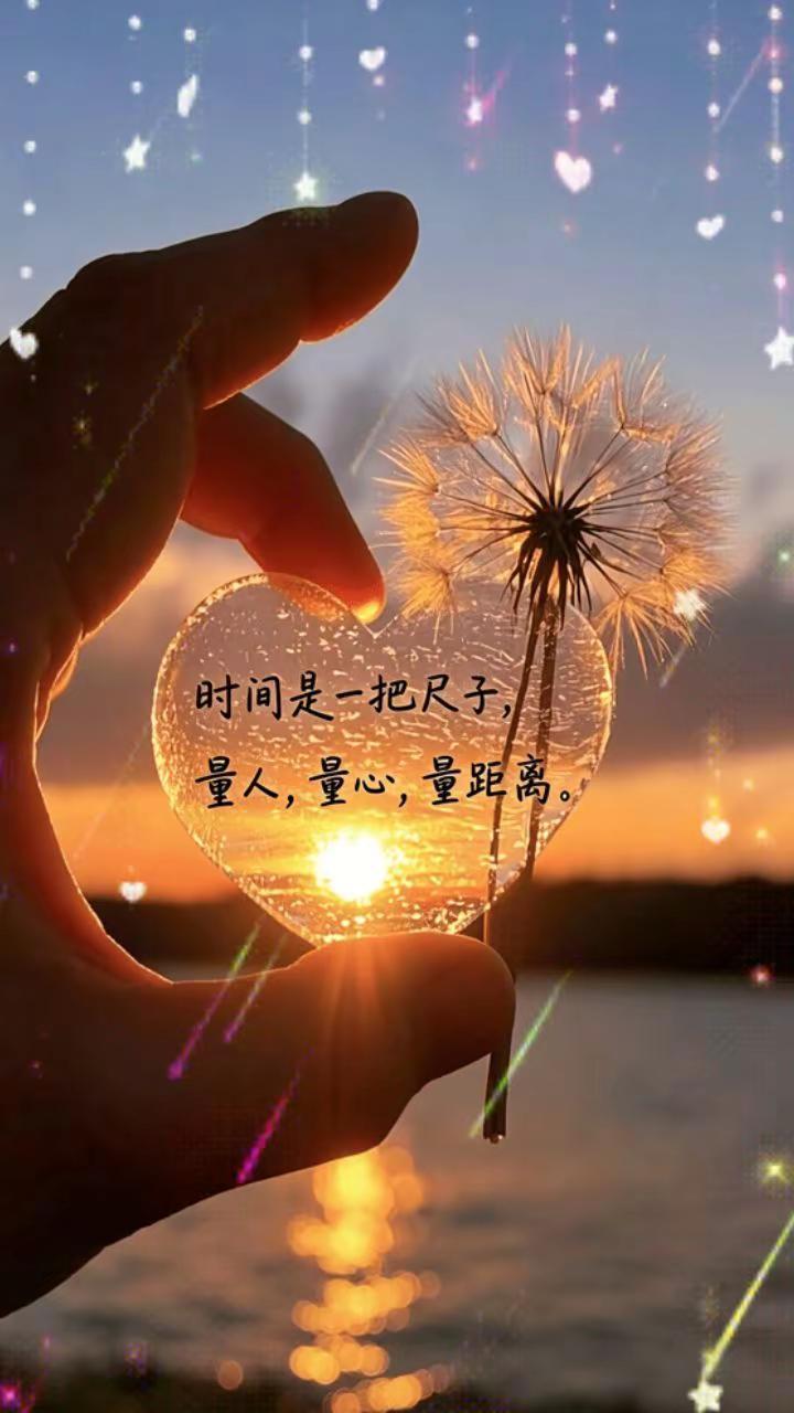 蒲公英之愿 允许破碎但不能枯萎 不要寄希望于别人 蒲公英爱心 蒲公英花语为无法停
