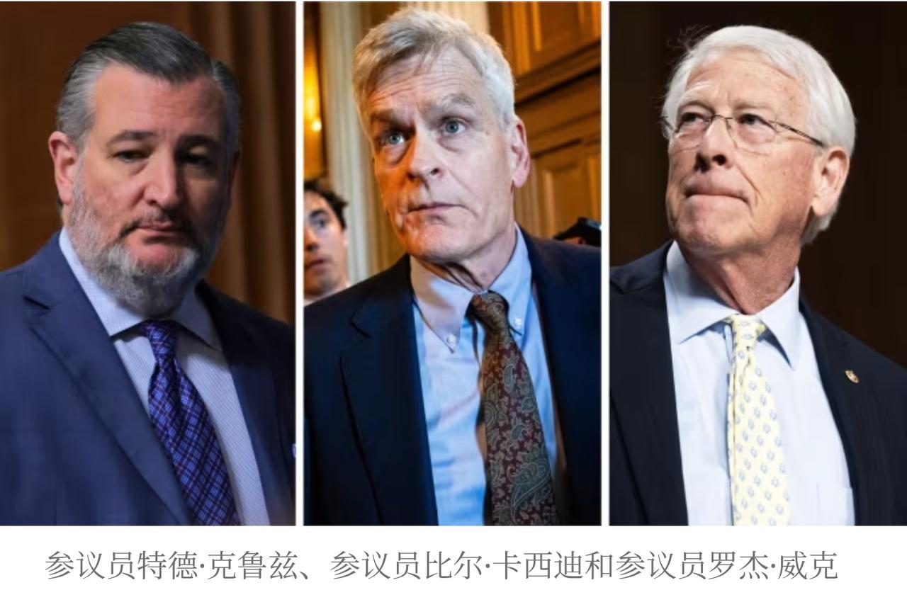共和党人罕见“倒戈”，特朗普伊朗协议引爆党内危机

当特朗普总统与伊朗秘密谈判的