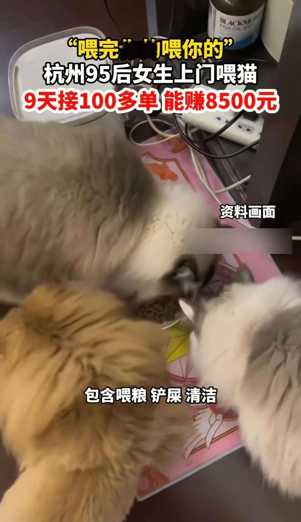 “春节9天赚8500元，这钱赚得比抢银行还快！”

杭州95后姑娘小谢的故事刚爆