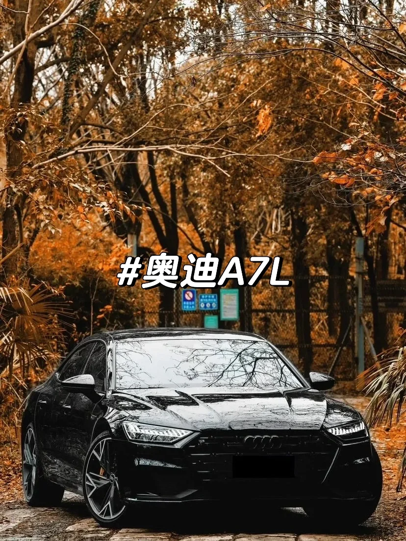 比起a7更喜欢a7l，萝卜青菜各有所爱‼️