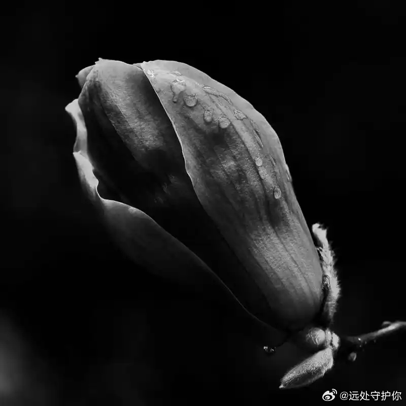 远离一切不洁不净的污浊 