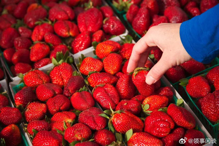 【令人惊讶的是，美国最大农产品供应商的产品中含有"永久性"农药的比例相当高】[精