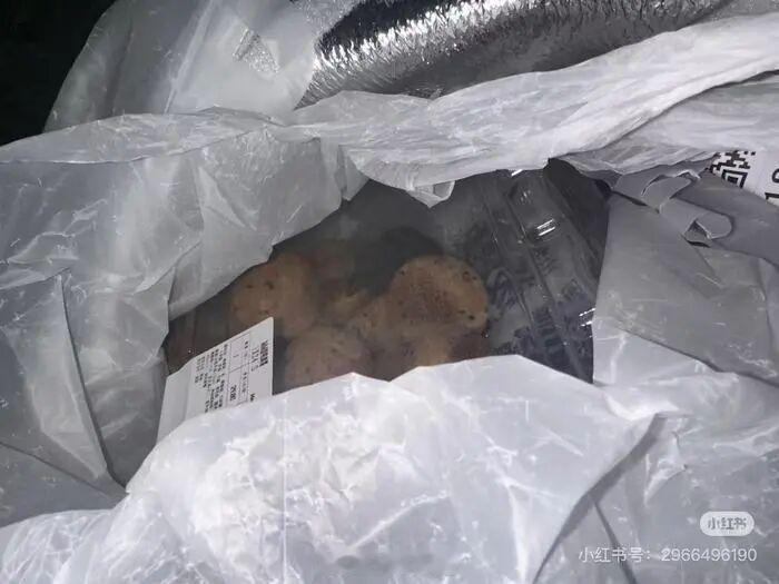 深圳一山姆麻薯盒出现活老鼠 麻薯包装通常是扣合紧密的硬质塑料，甚至有全包裹式塑封