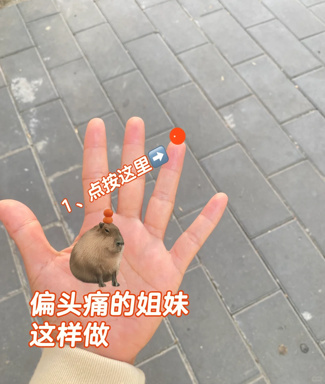 小手法大养生干货系列——偏头痛