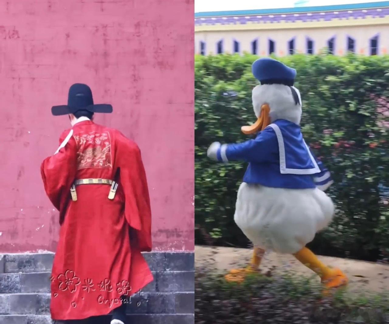 丁禹兮你怎么变唐老鸭了丁禹兮穿着官服上楼梯，结果走成唐老鸭[笑cry][笑cry