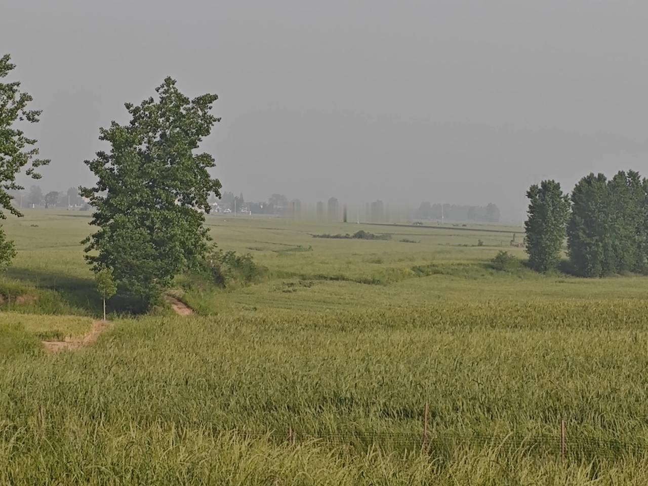 莫把“醉骑”当小事 电动车查酒驾是底线守护
 
长期以来，不少人都有一个认知误区