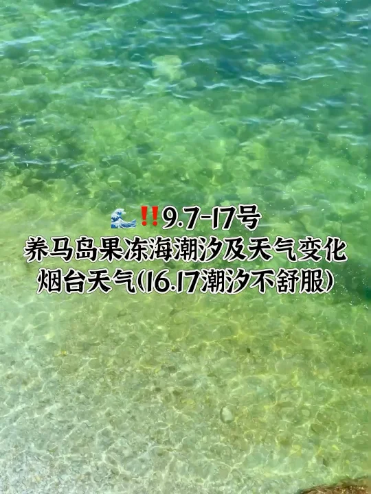 📍9.7-9.17号烟台养马岛果冻海潮汐及天气