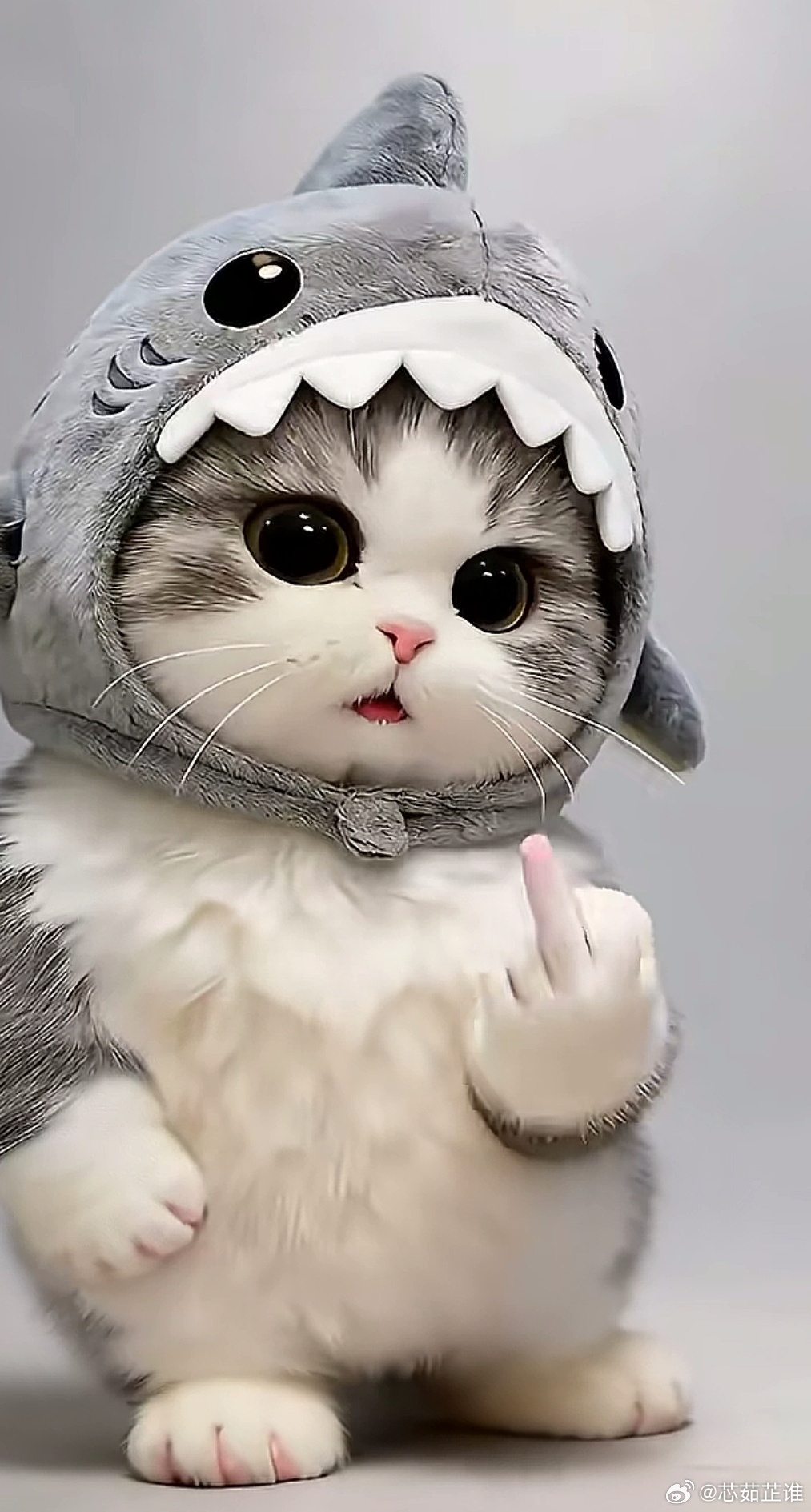 你这个APP赶快搞一下吧，真特么服了 