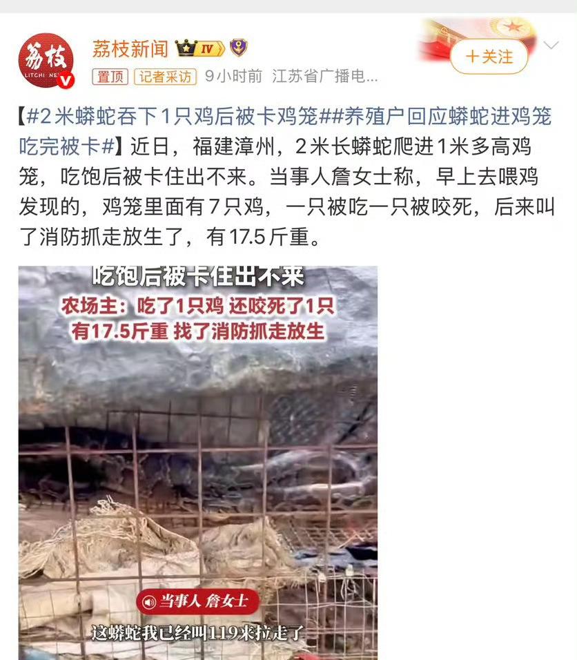 2026年4月18日，福建漳州养殖户詹女士发现自家鸡笼中盘踞一条2米长、重17.