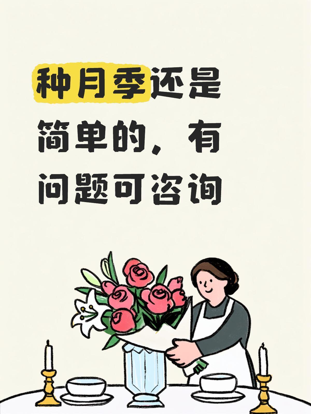 有问题发评论月季不开花