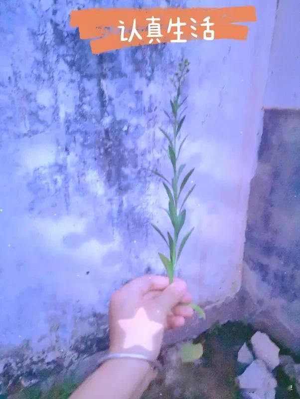爱自己、活得不卑微，得从停止对自己的语言暴力开始。很多人遇到挫折就骂自己“废物”