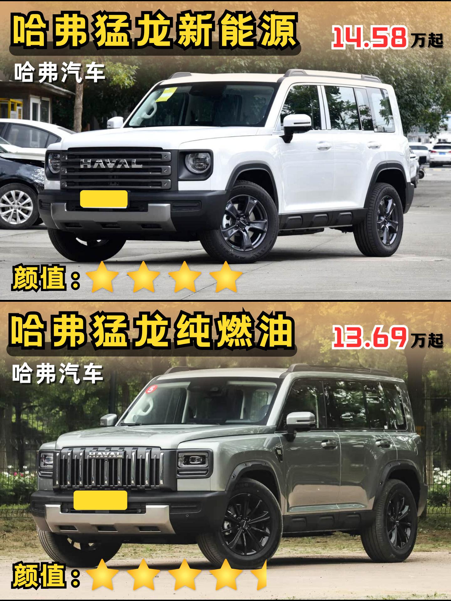 喊着出纯燃油版必冲的兄弟，你点的纯油猛龙来了！哈弗猛龙的两种车型你会选谁呢！