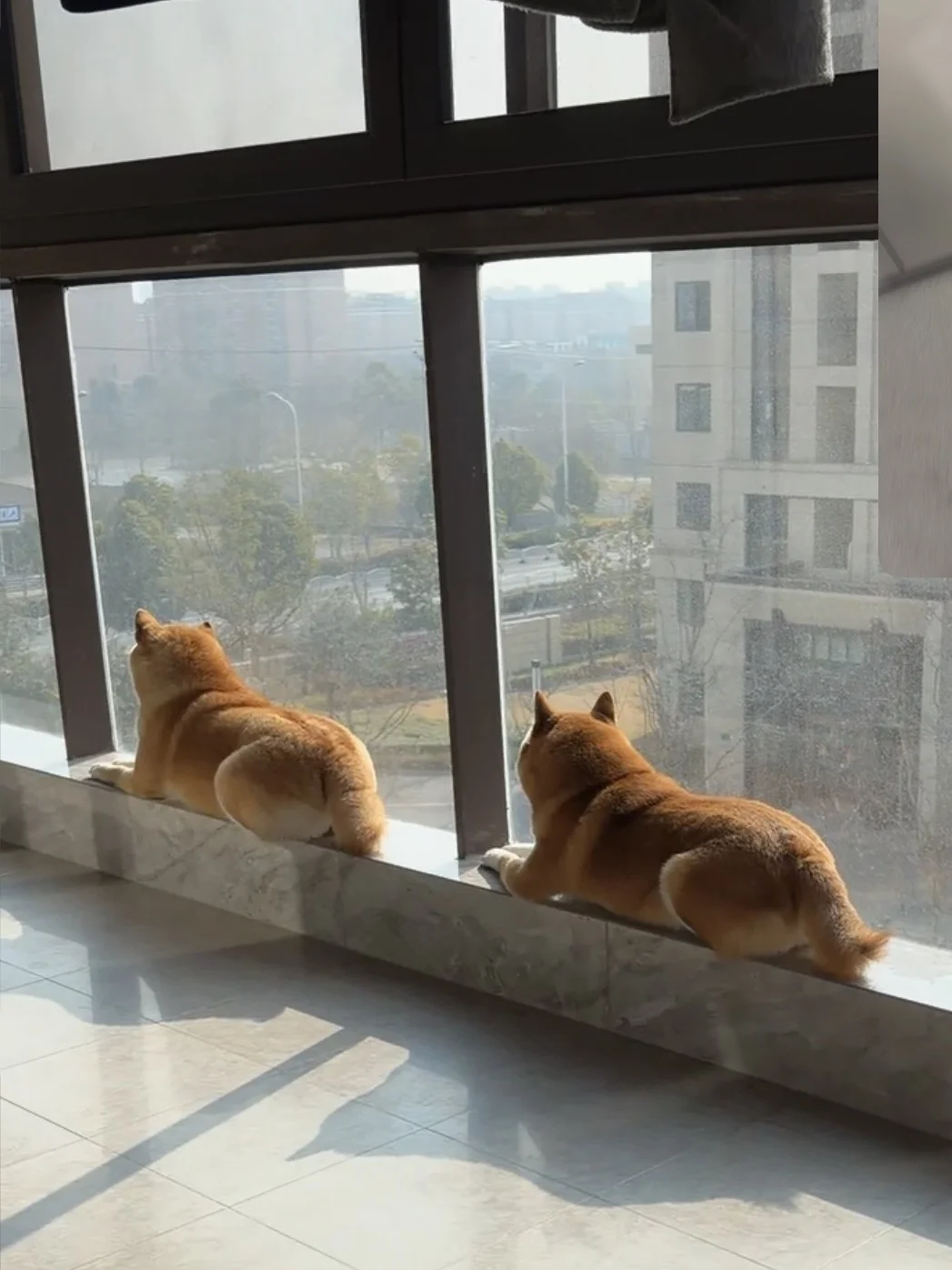 香喷喷的烤面包🍞