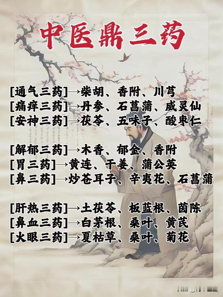 中医鼎三药的意思是什么？我来告诉你
中医鼎三药是指三种中药的配伍使用，就像鼎的三
