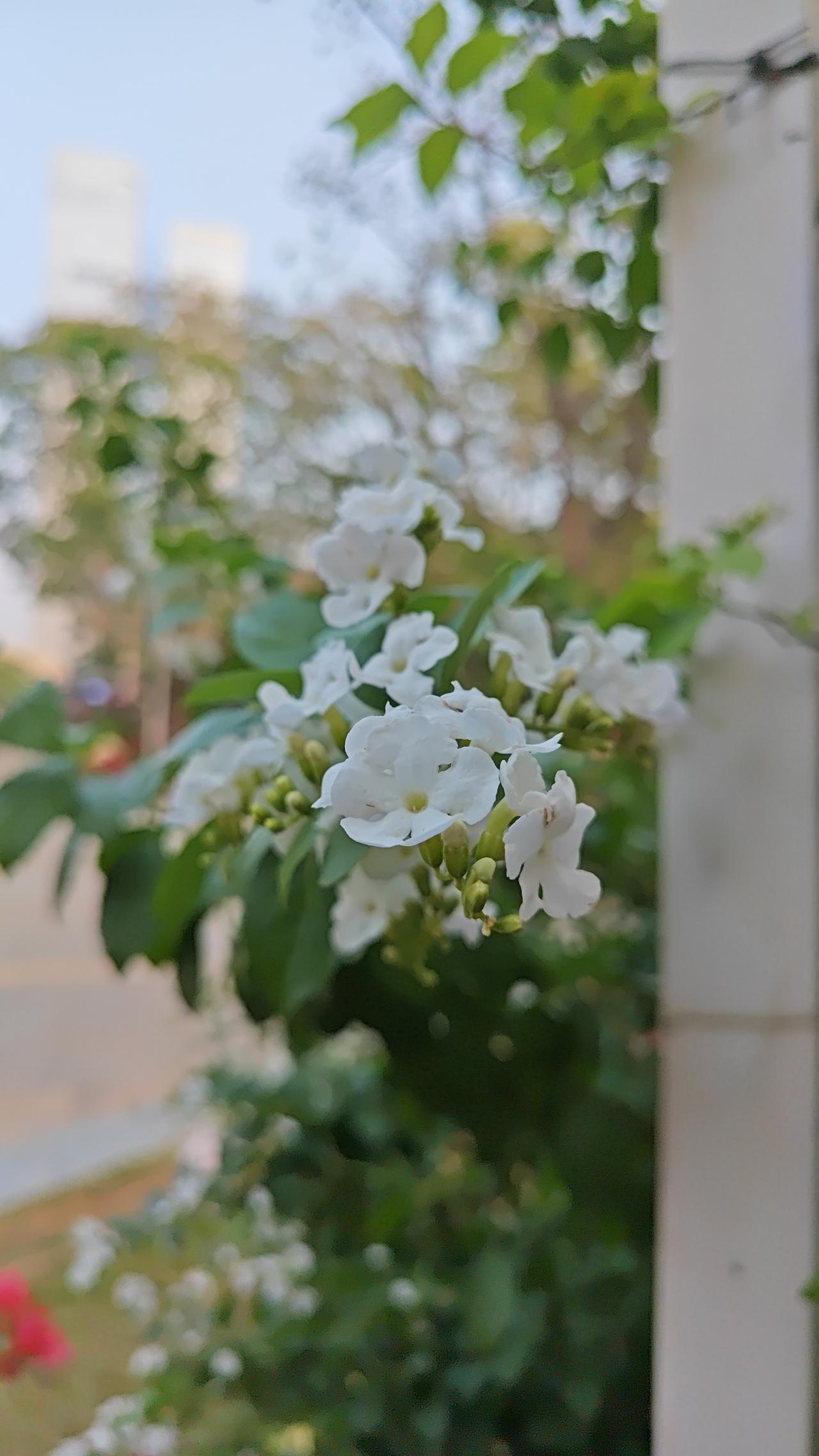 要特别重视学生的心理问题，但也真的不能把心理问题扩大化。学生被老师批评心情郁闷，