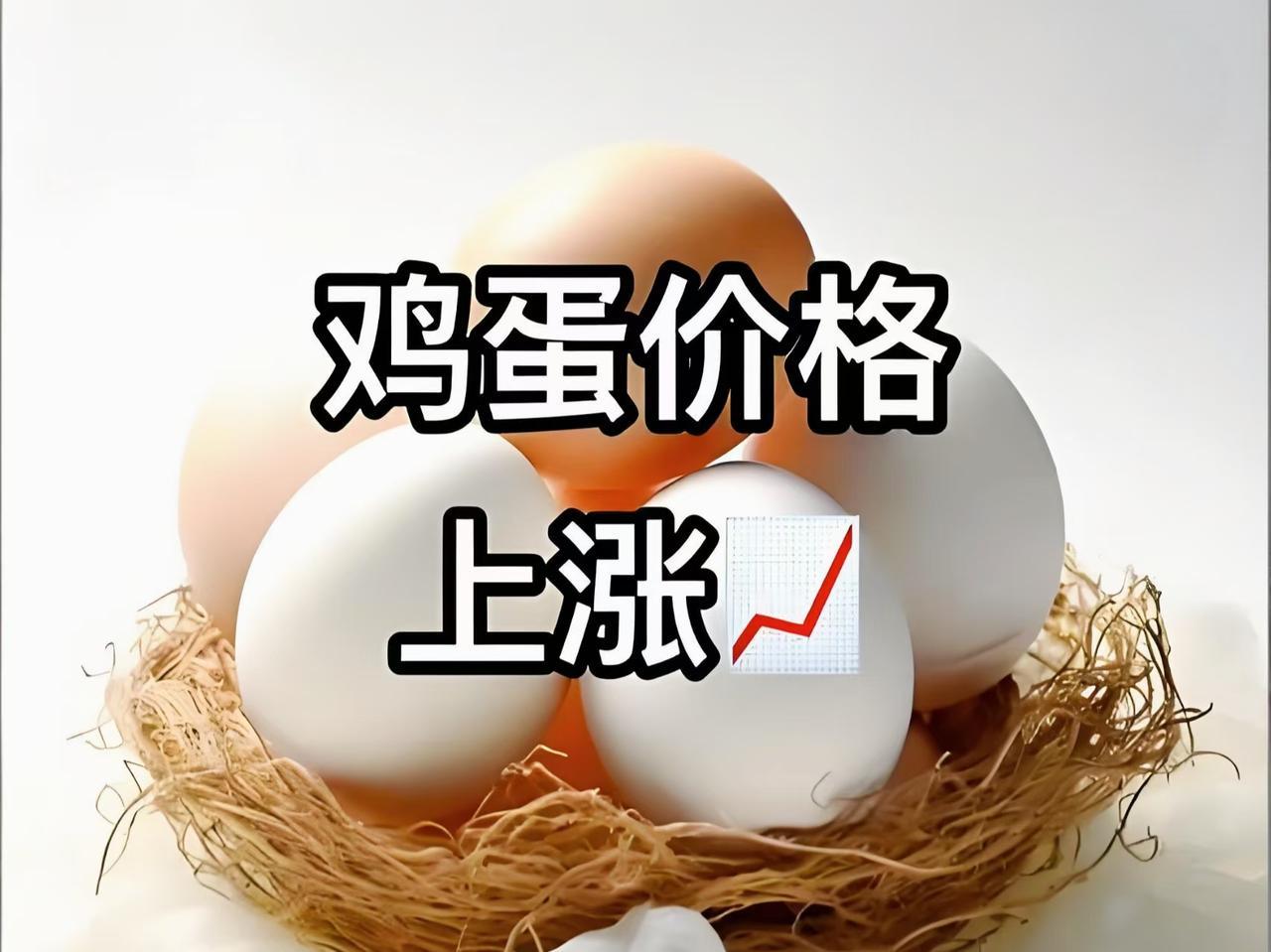 最近几天逛菜市场、超市的应该都发现了，鸡蛋价格蹭蹭往上涨，连山姆也扛不住开始调价