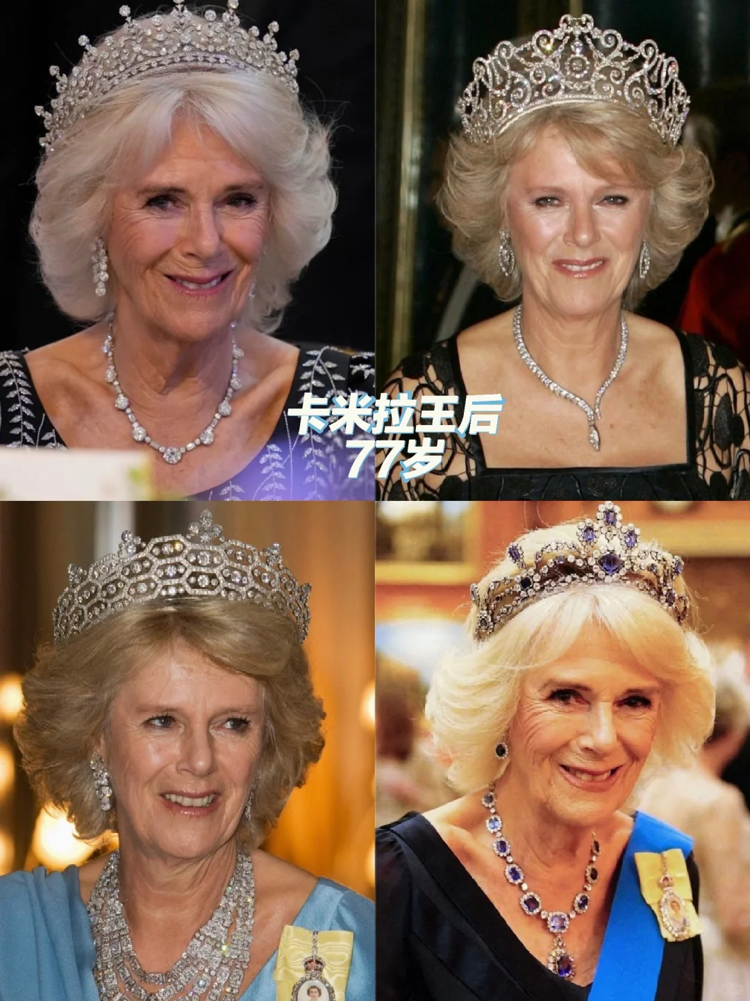 抛开道德，卡米拉王后戴王冠挺有气质