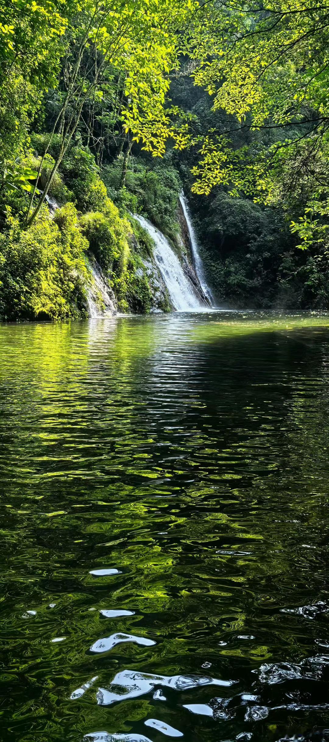 #哀牢山禁区是禁区景区是景区#哀牢山景区很美，禁区不要前往 ​​​