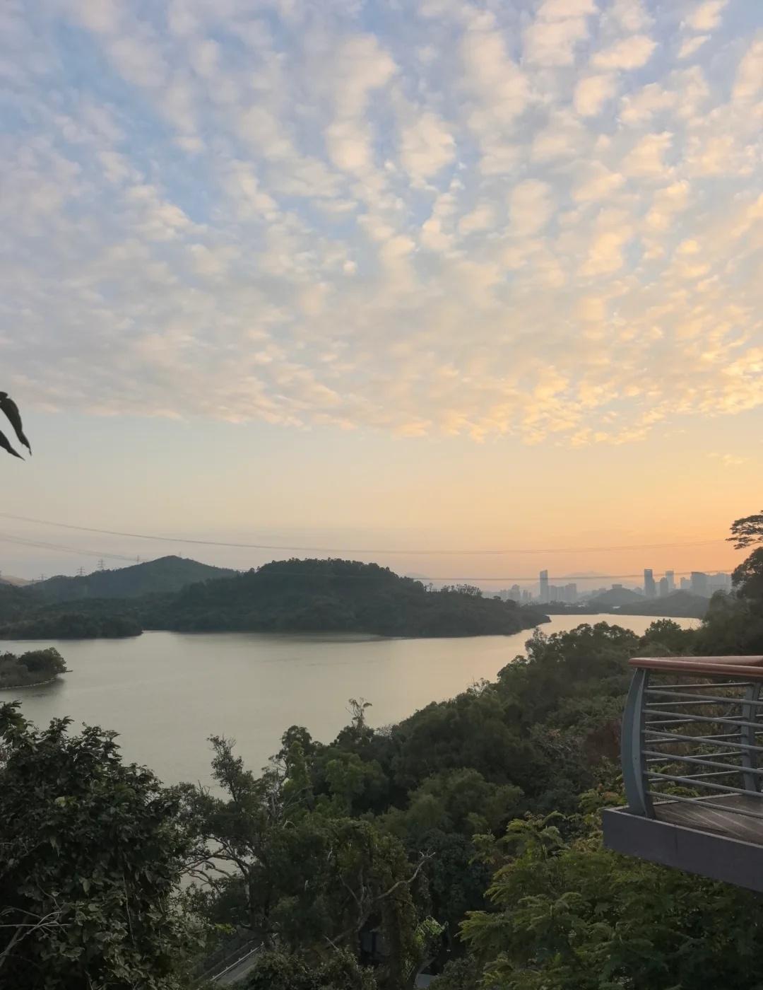 深圳徒步优选—淘金山绿道
日落爱好者 深圳版千岛湖 无滤镜风景 实况照片 梧桐山