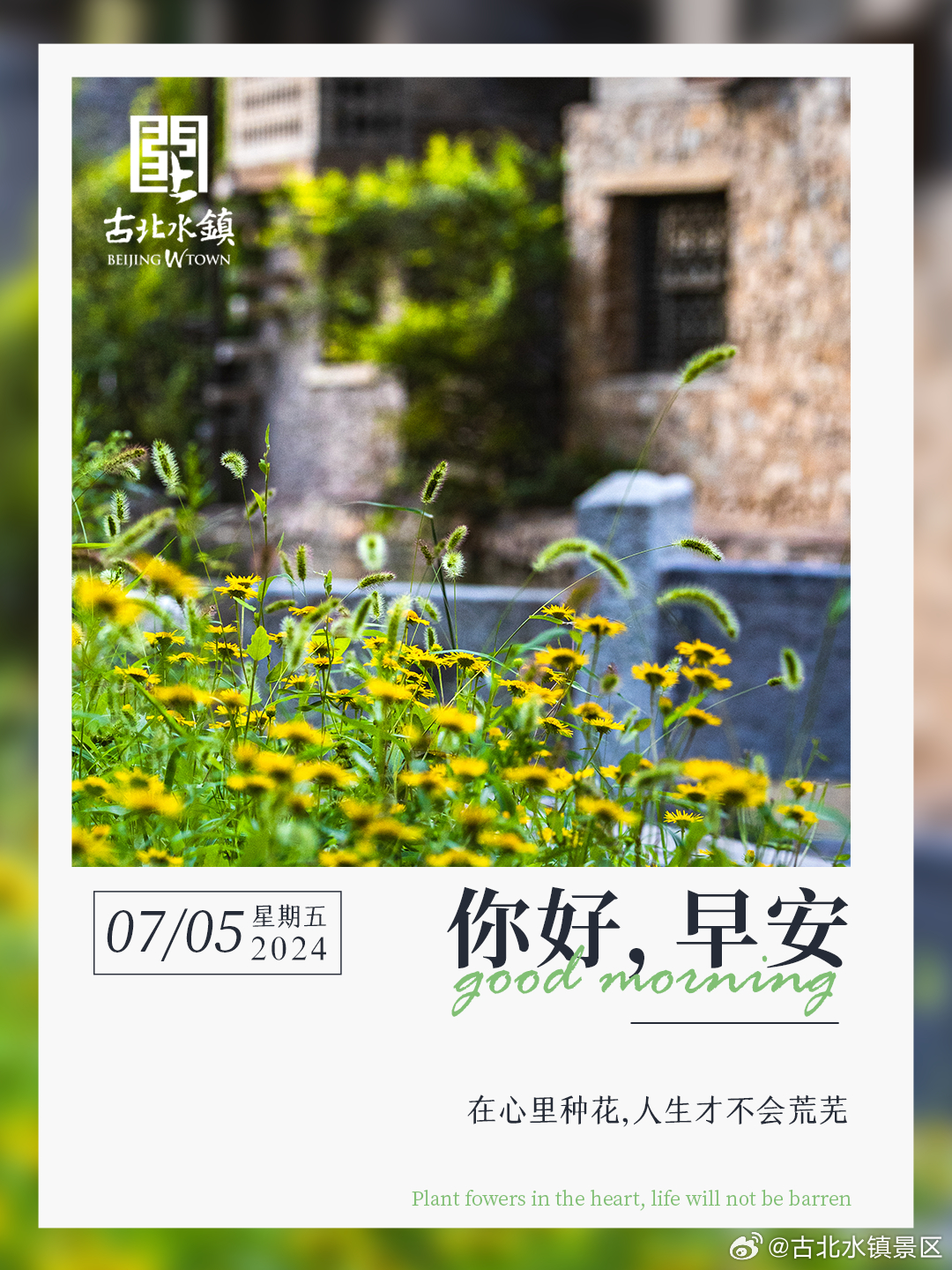 在心里种花,人生才不会荒芜。早安，宝子们~#古北水镇光之城# #司马台长城# #