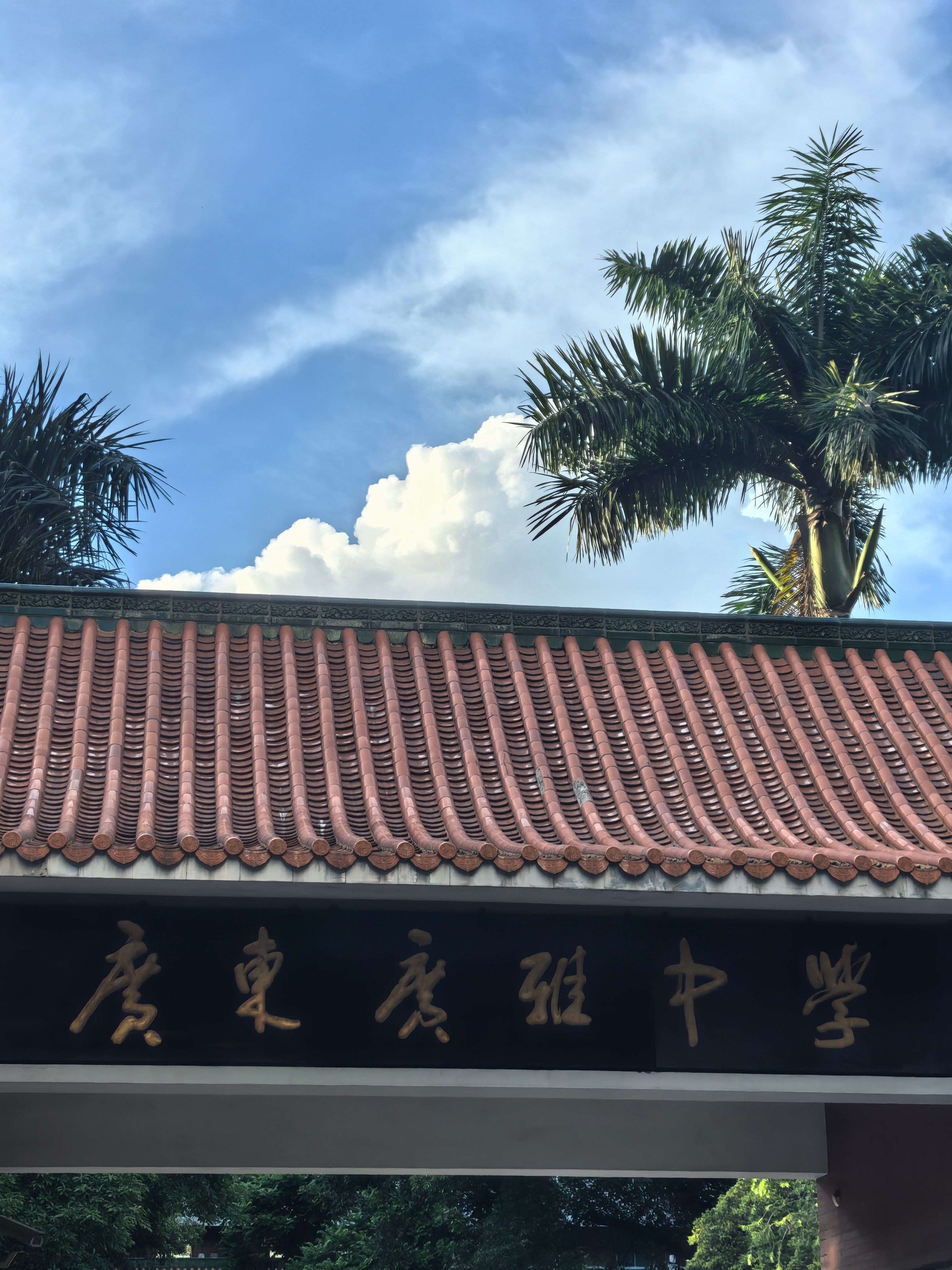 看云卷云舒，听风声风语。早晨老友记！[抱拳] 