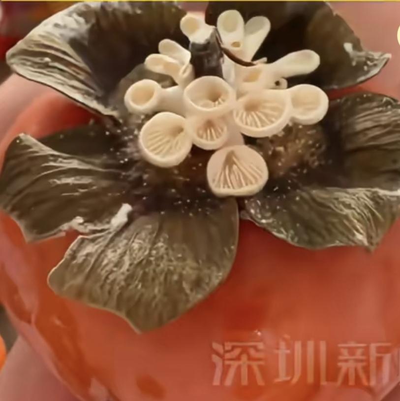 柿子上面长蘑菇了
