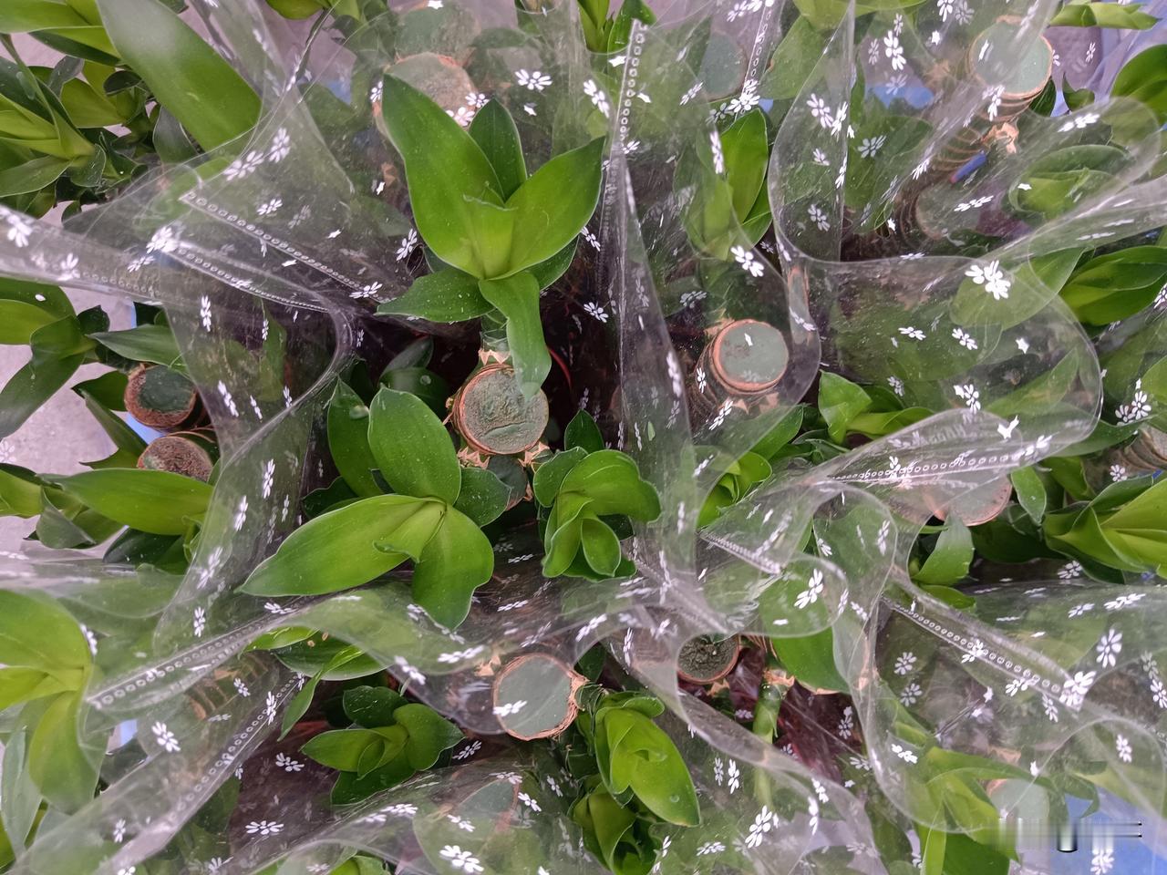 被岁月渐渐打磨的你,是否改变了?

不再棱角分明，却多了几分沉稳；不再冲动较真，