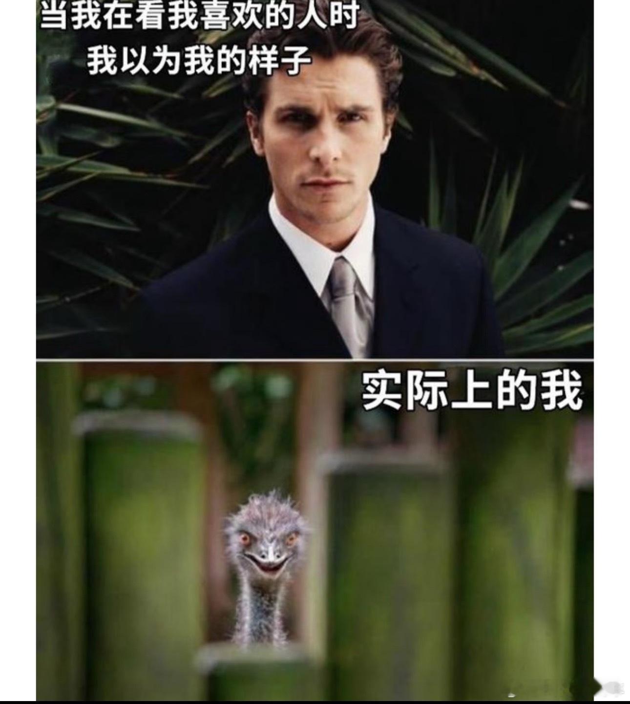 今天洗头了超美～梗图[超话]趣图[超话]meme ​​​