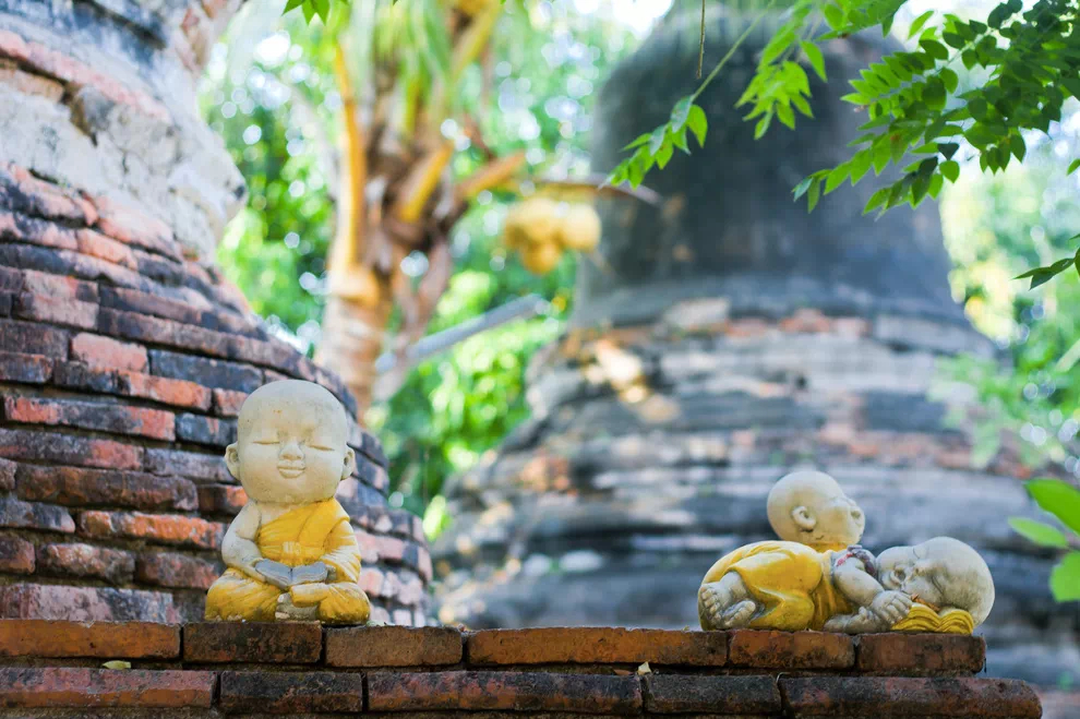 只要你天天念經，就是天天在消业。这个业，虽然到劫的时候还会出来，但是会小很多，大