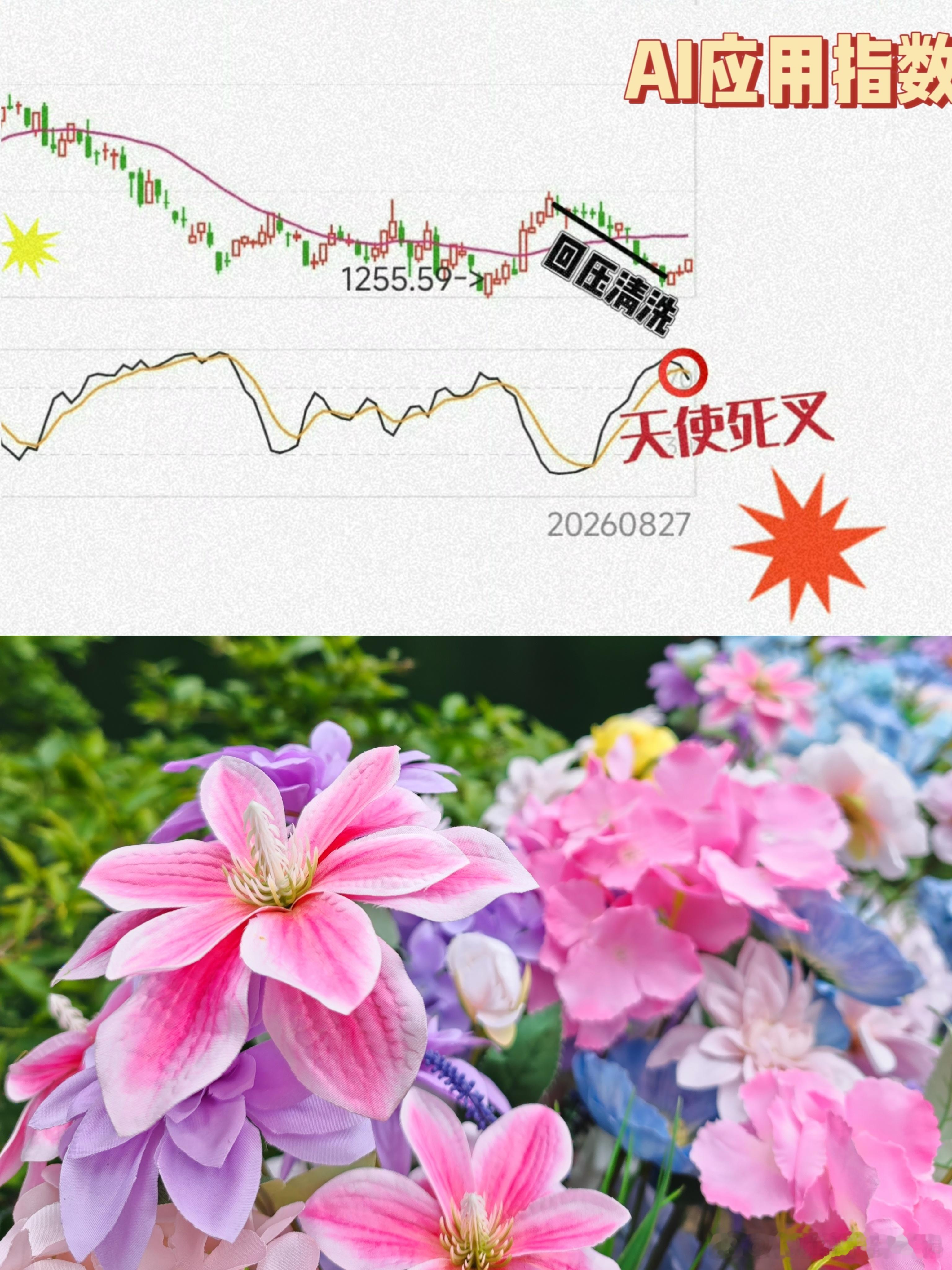 孙宇晨说长文写了十几个小时景甜丨孙🈹这瓜……娱乐圈的事呀理科生 PK 文艺生[