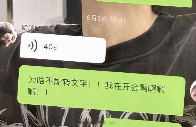 所以可以出一个语音转文字吗