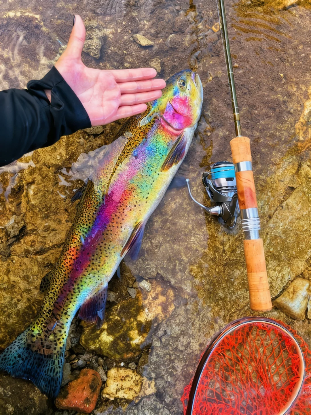 🌈路亚的快乐谁懂啊比吃了喜鹊p还开心