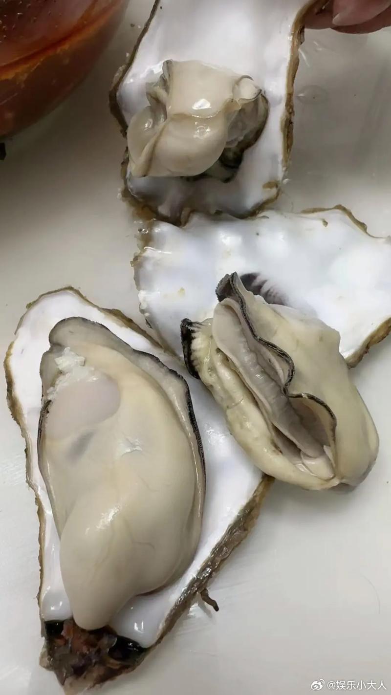 娱乐一下下[超话] 海蛎子，也就是牡蛎，真的是一种超级鲜美的海鲜呢！它的肉质细嫩