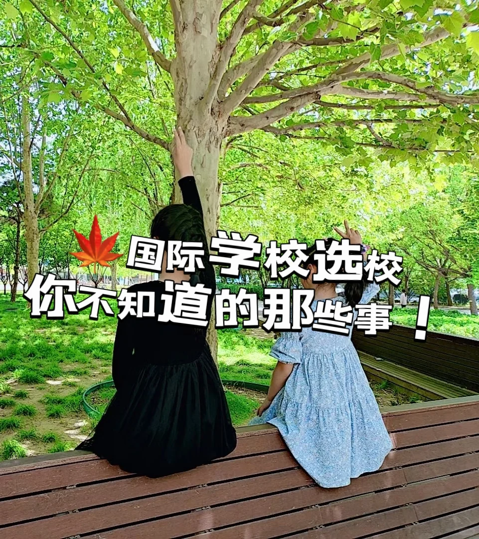 国际学校也“玩赖”！选校你不知道的那些事